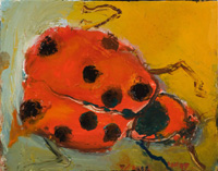 Ladybug